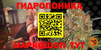 амф Пыть-Ях