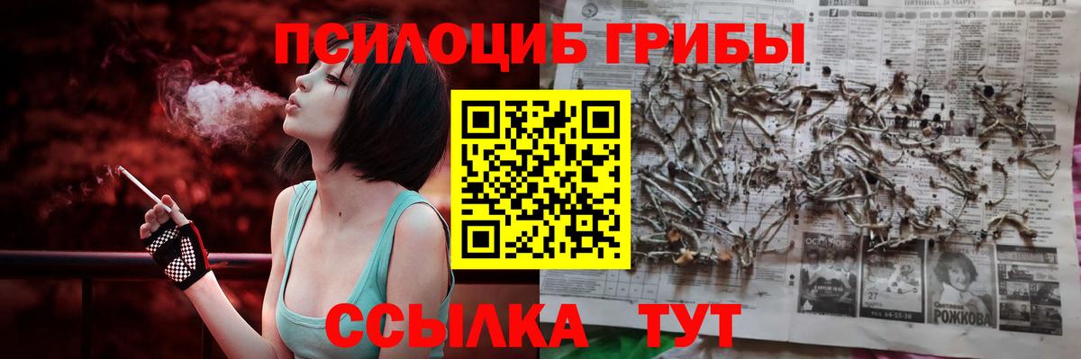 Оренбург  Псилоцибиновые грибы Magic Shrooms  Вход с VPN 